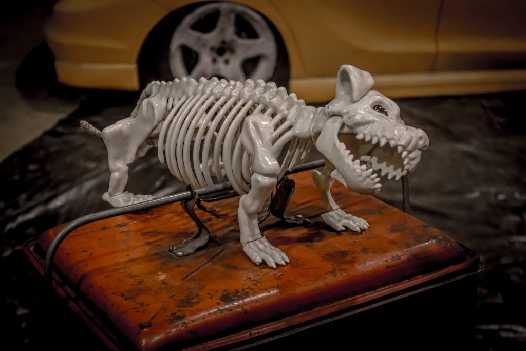 Image #4 from Rick Sommers